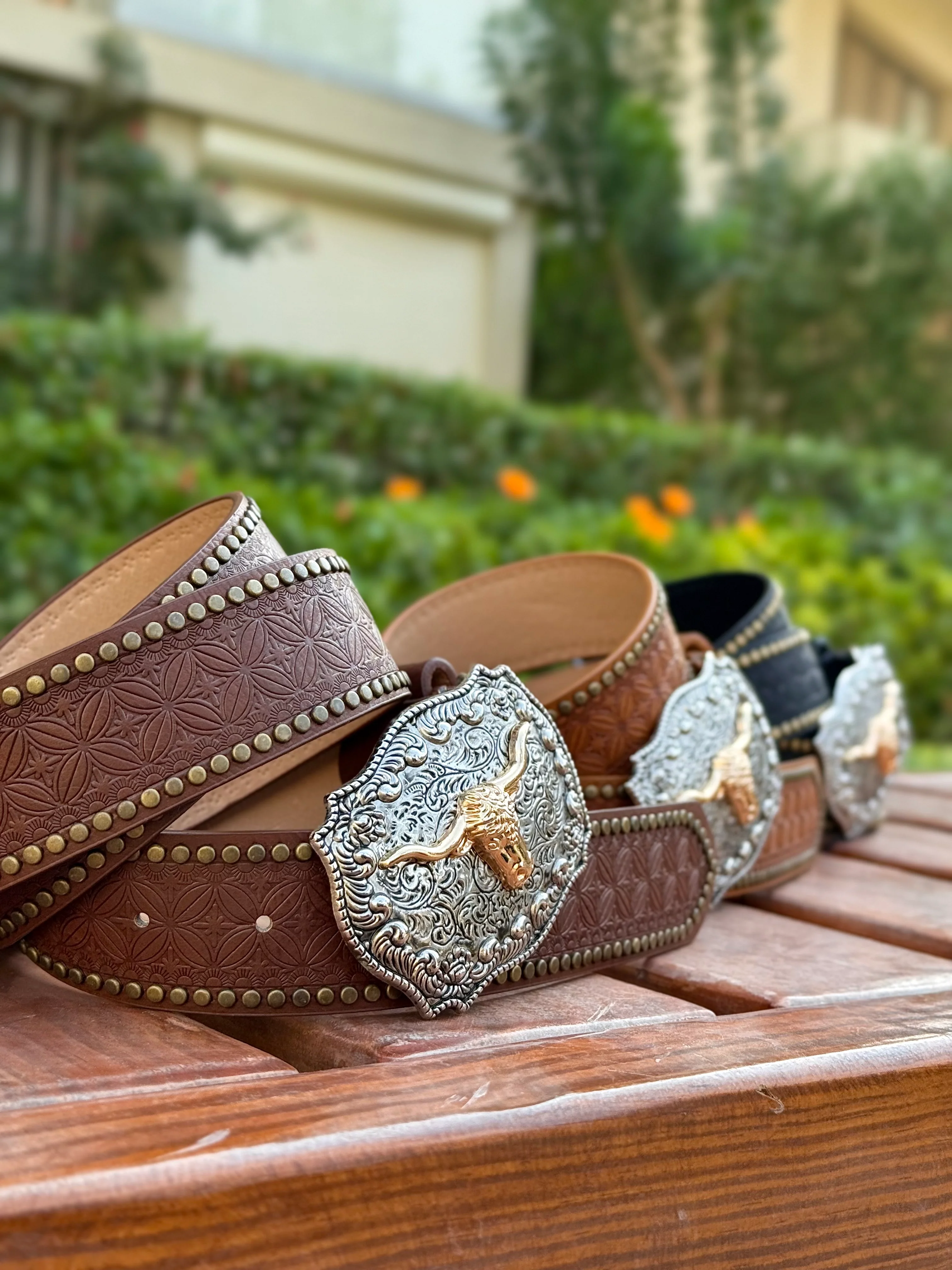 Caballera Belt 🐎 - Image 4